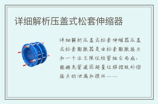 详细解析压盖式松套伸缩器