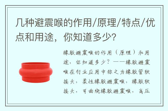 几种避震喉的作用/原理/特点/优点和用途，你知道多少？