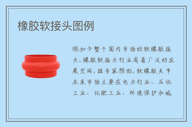 橡胶软接头图例